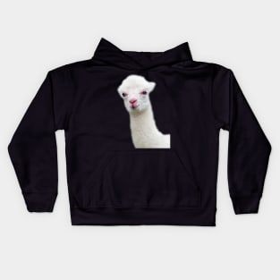 White Baby Alpaca, Llama, Cria Kids Hoodie